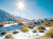 南方潛水電泵的種類有哪些？