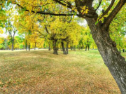 南方立式離心泵老發(fā)噪聲是什么原因?