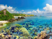 什么是化工泵？