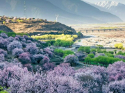 學(xué)習(xí)專業(yè)技術(shù)，完成自我超越——南方長河產(chǎn)品技術(shù)支持培訓(xùn)圓滿完成